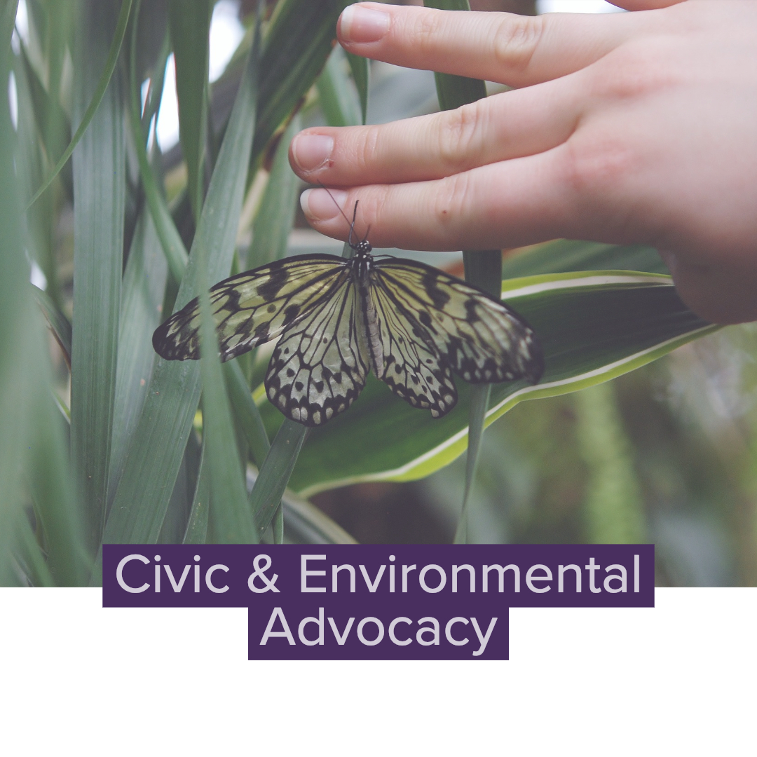 Civic & Environmental Advocacy