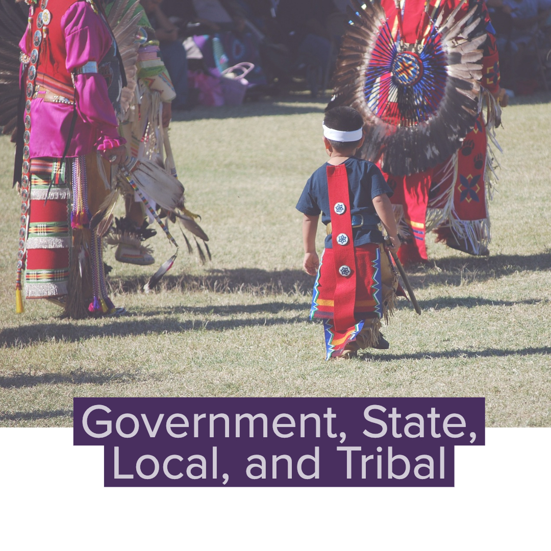 Government_ State, Local, and Tribal (1)