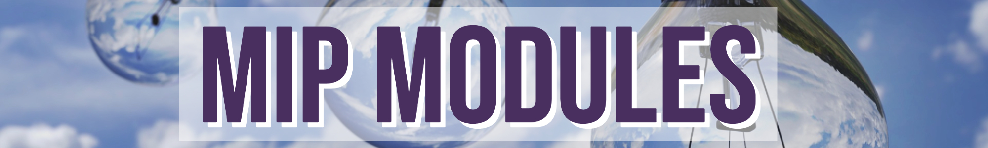 Mip Modules (1)