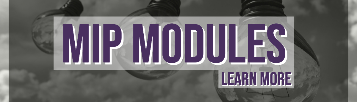 Mip Modules (3)